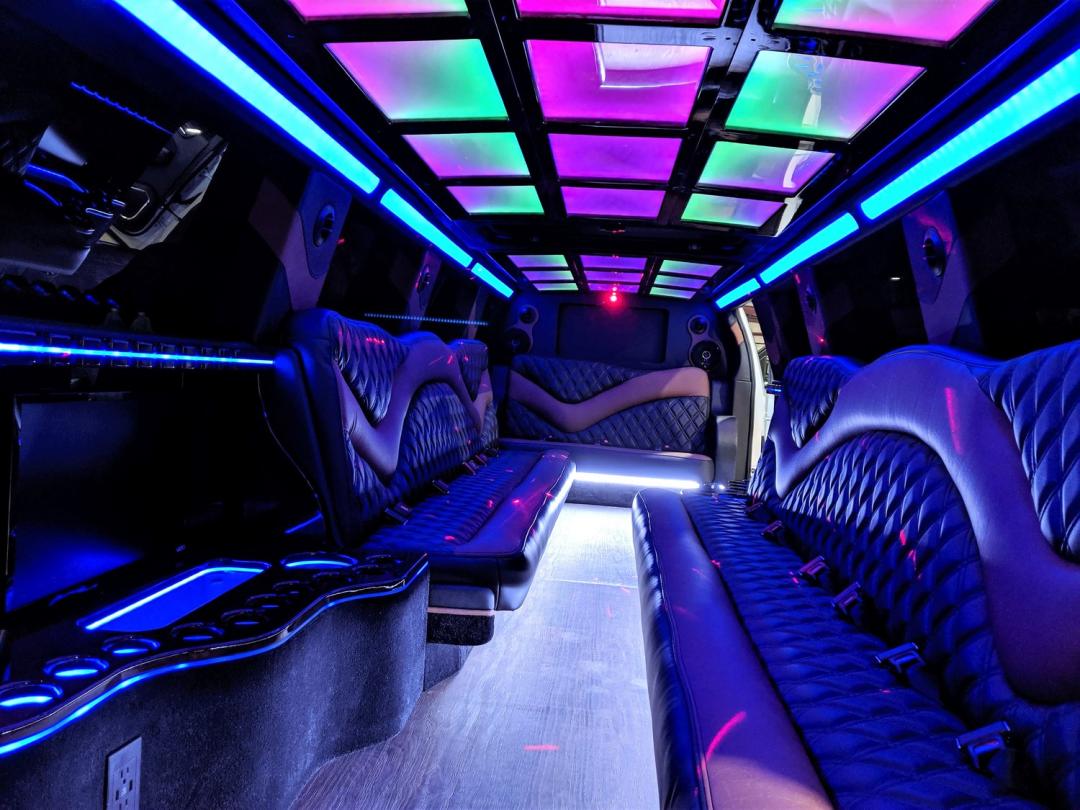 Luxury Limousine - Image 2