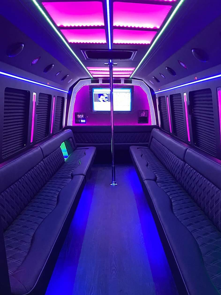 Small Luxury Party Bus with Pole! - Image 2