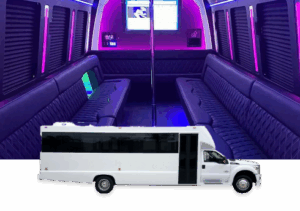 Medium Luxury Party Bus with Pole!